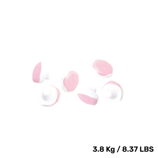 Swedish Candy - Malaco Foam Mushrooms - Tiktok Trending
